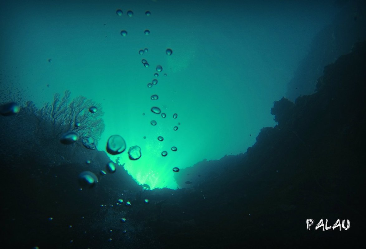 Palau. Micronesia. - Евгений Фомин