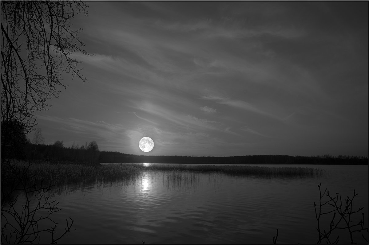 Ночь на озере - Nikita Volkov
