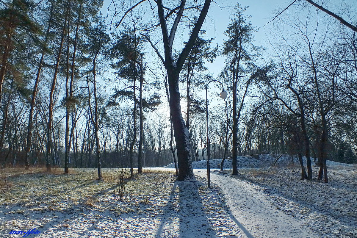 Утро в парке - Сергей Мышковский