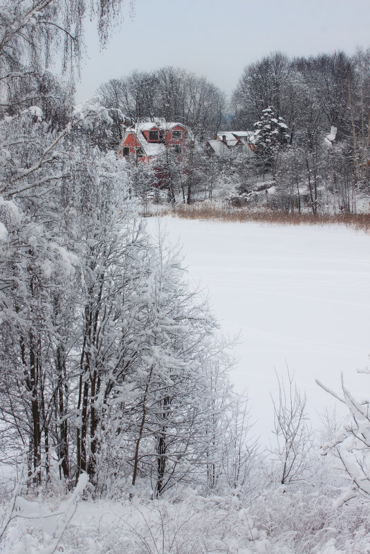 зимний пейзаж с домиками - Yulia 
