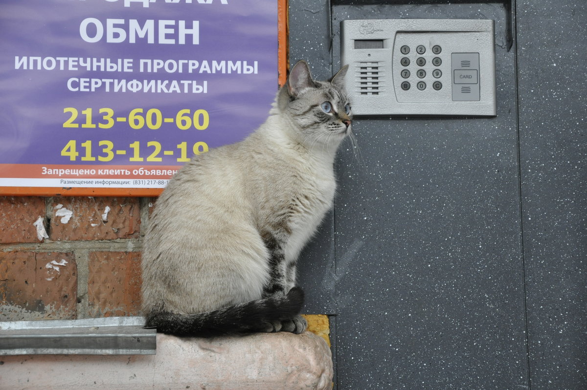 Современные символы домашнего уюта - Юрий Кузьмин