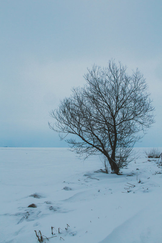 Спокойно - Alis Snow