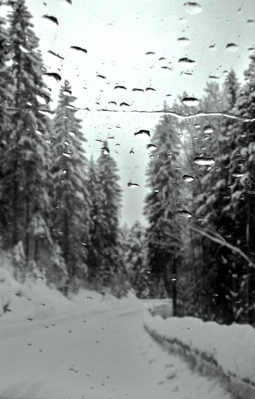 Зимняя дорога - Elena 