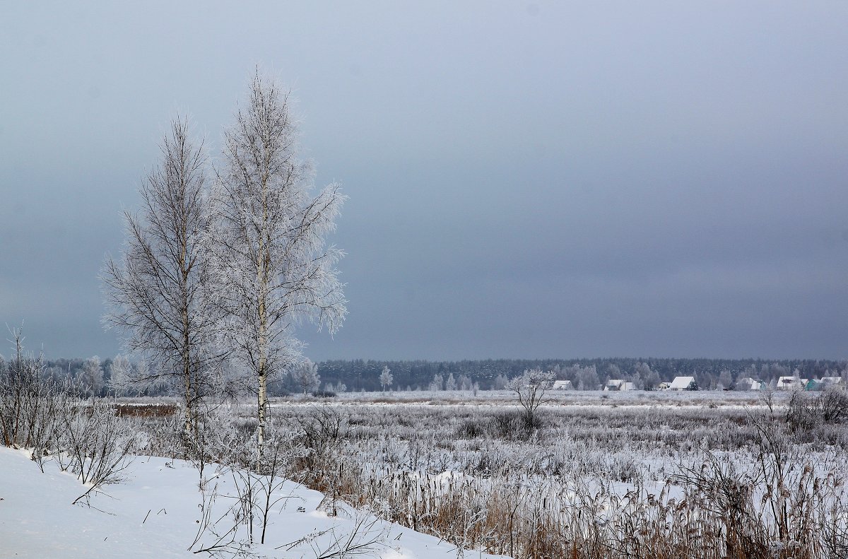 Холодный пейзаж - Юлия Левикова