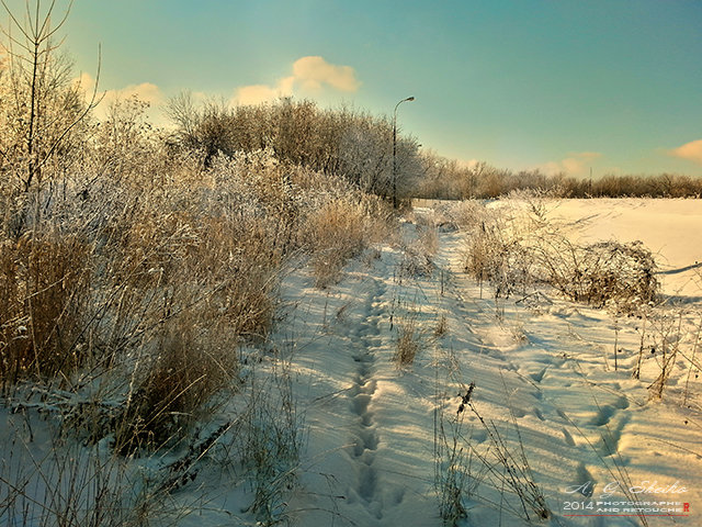 Зимний, солнечный денёк... - Андрей Шейко
