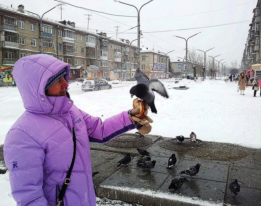 ветер, снег, холодина, голуби... - Ольга Чазова