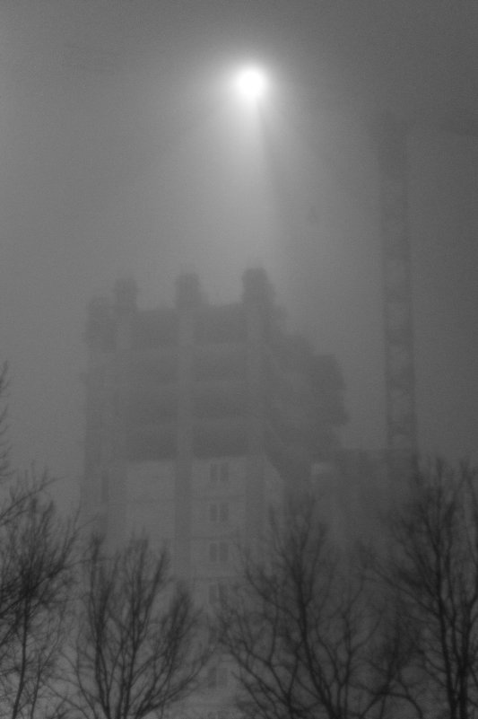 Туман в городе - Venera Shafigullina