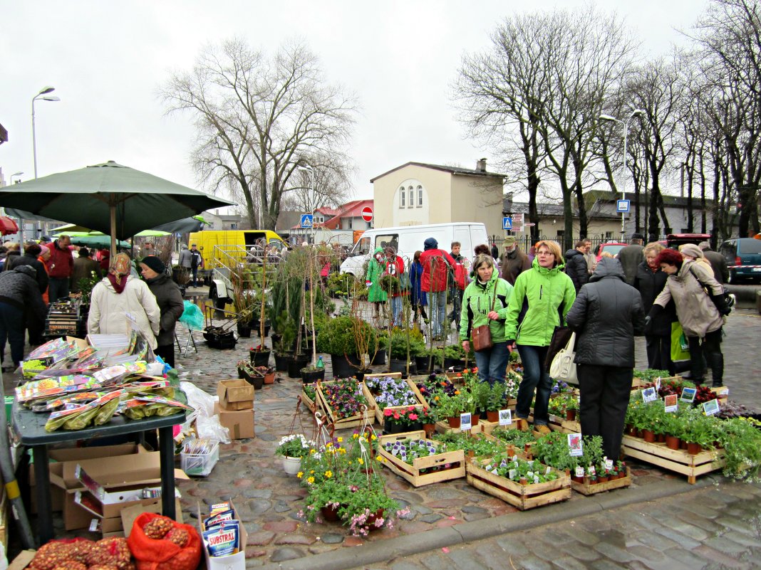 Market... - Janis Jansons