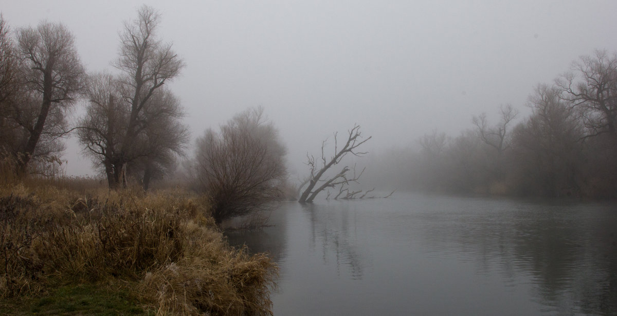туман на реке - Валерий Тёсса