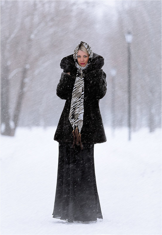 Зима - Андрей Сурин