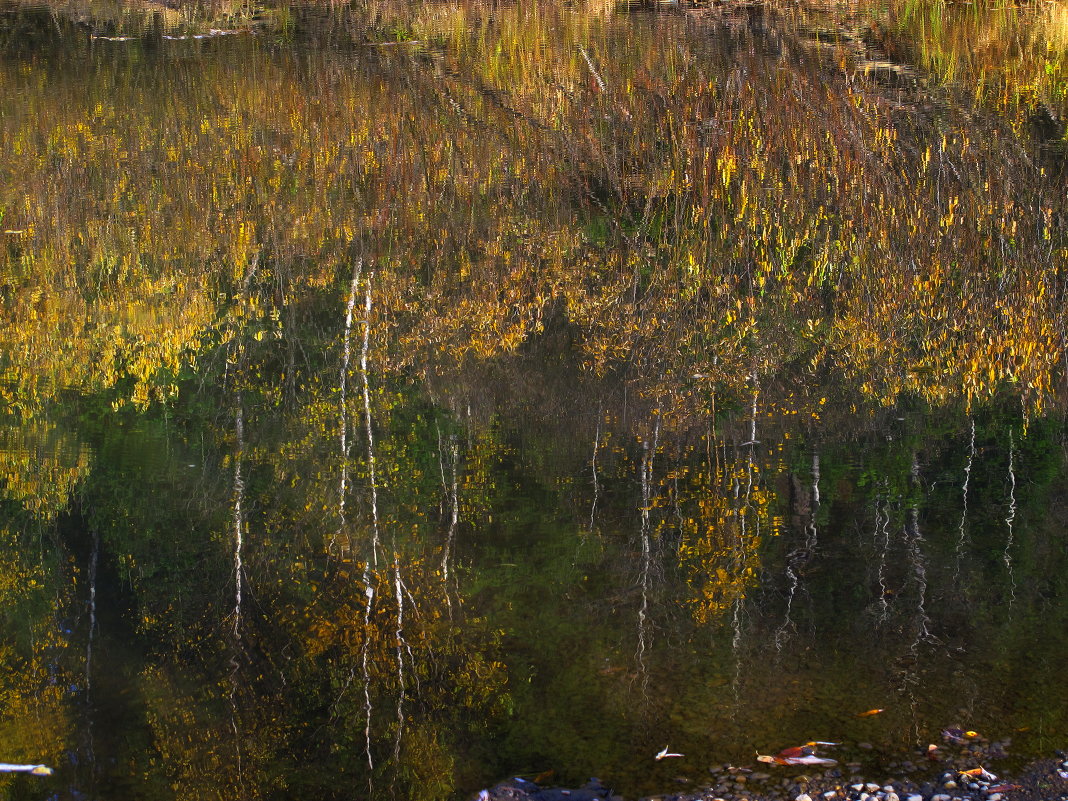 Заглянула осень в речку - Нина северянка