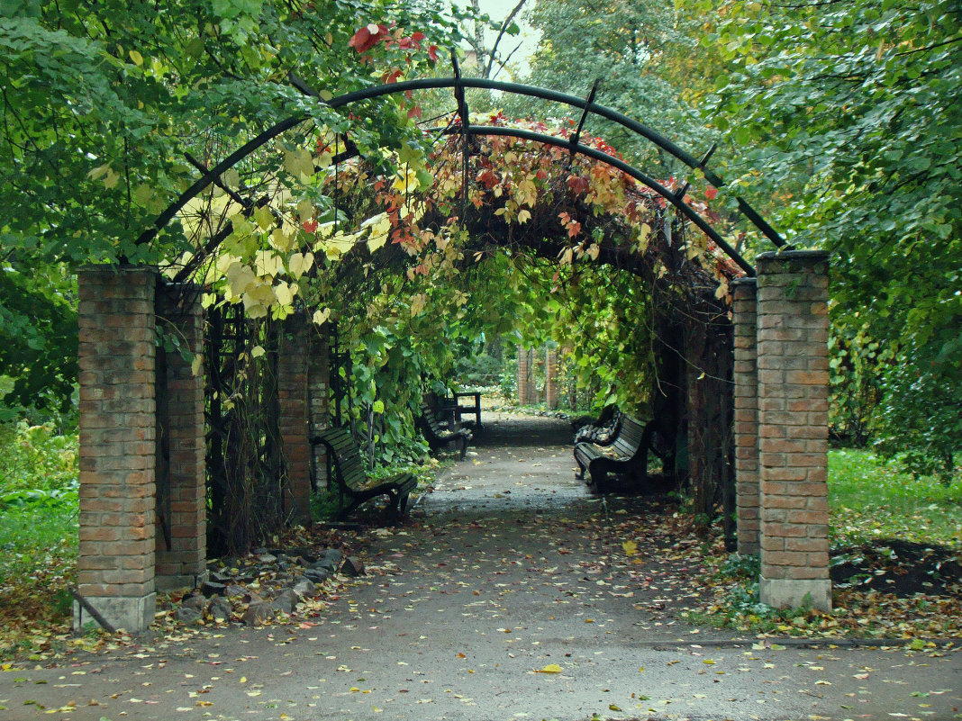 Осень в ботаническом саду - Александр Запылёнов