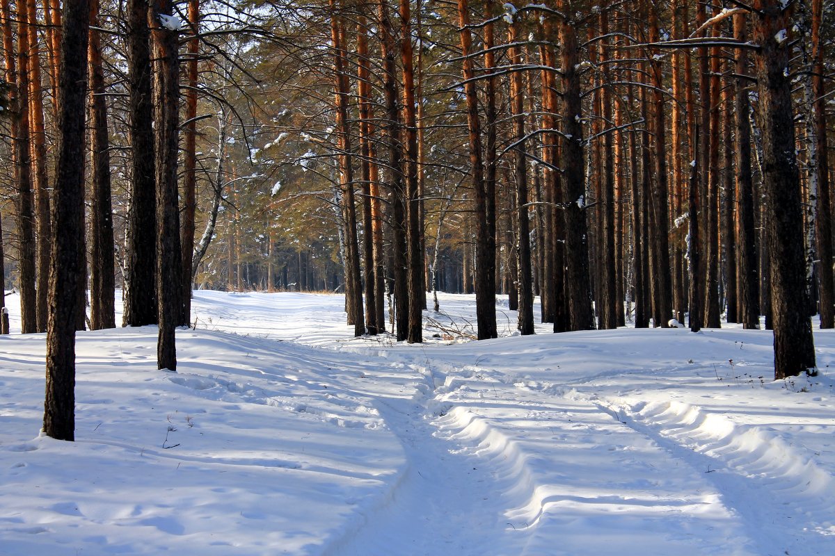 Зимняя дорога - Ksenia Sergeeva