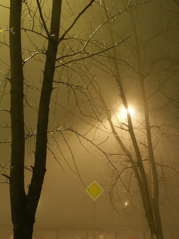 Деревья в тумане - Игорь Герман