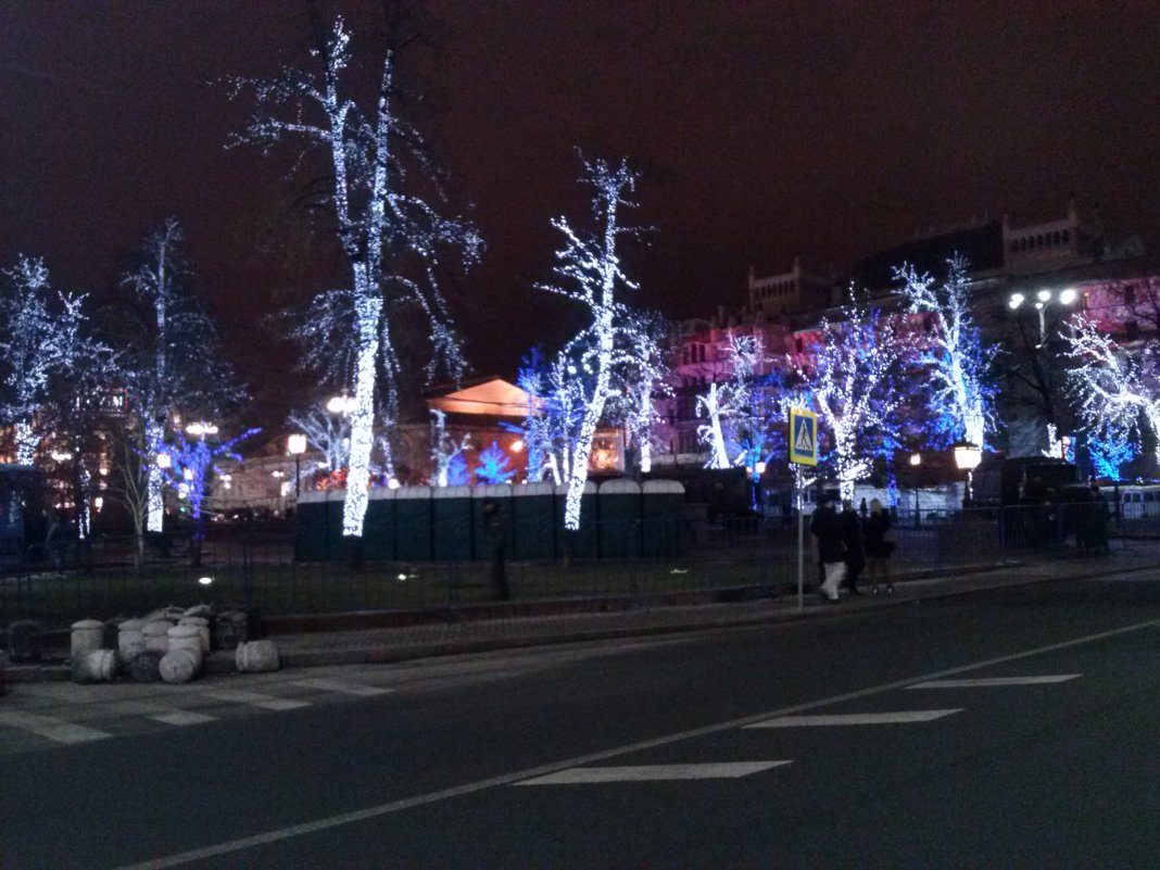 Светящиеся деревья у Большого театра. Новый 2014 год. - Мила 