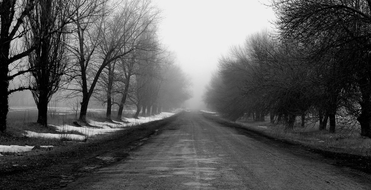 дорога зимой - Сергей Корейво