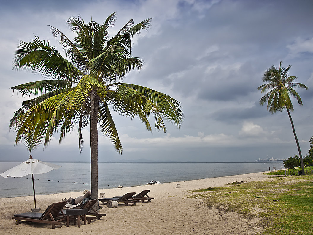 Обычный пляж с пальмами - Светлана Васильева