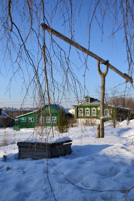 Зимний журавль - Лариса 