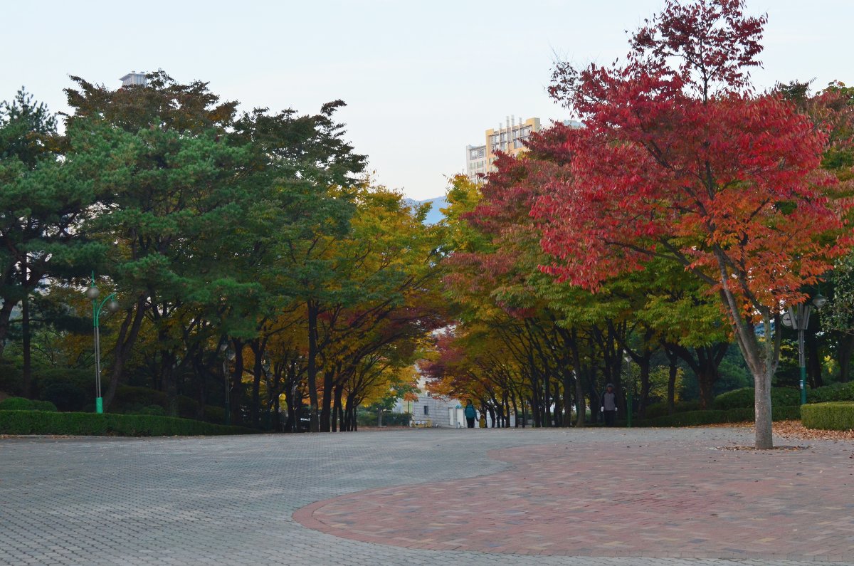 Korea ,daegu - Evgeniy 