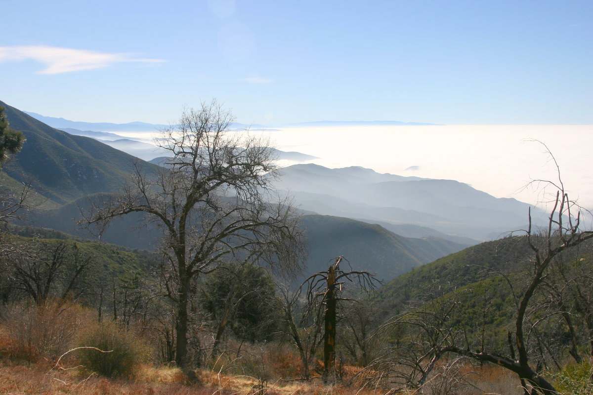 Lake Big Bear (California) - Nonna 