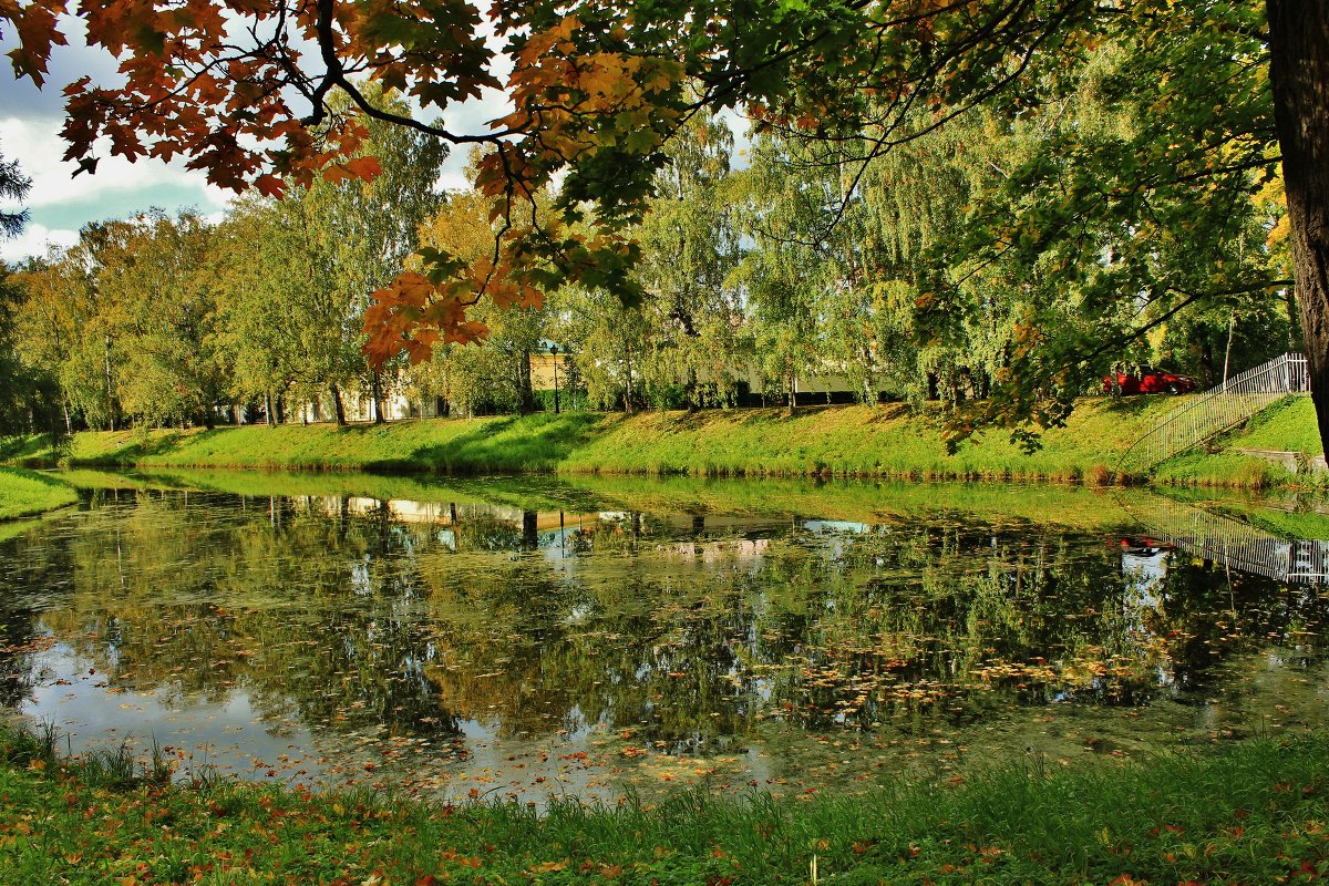 В парке - ирина )))