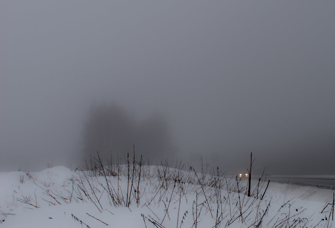 Огни в тумане - Алексей Сараев