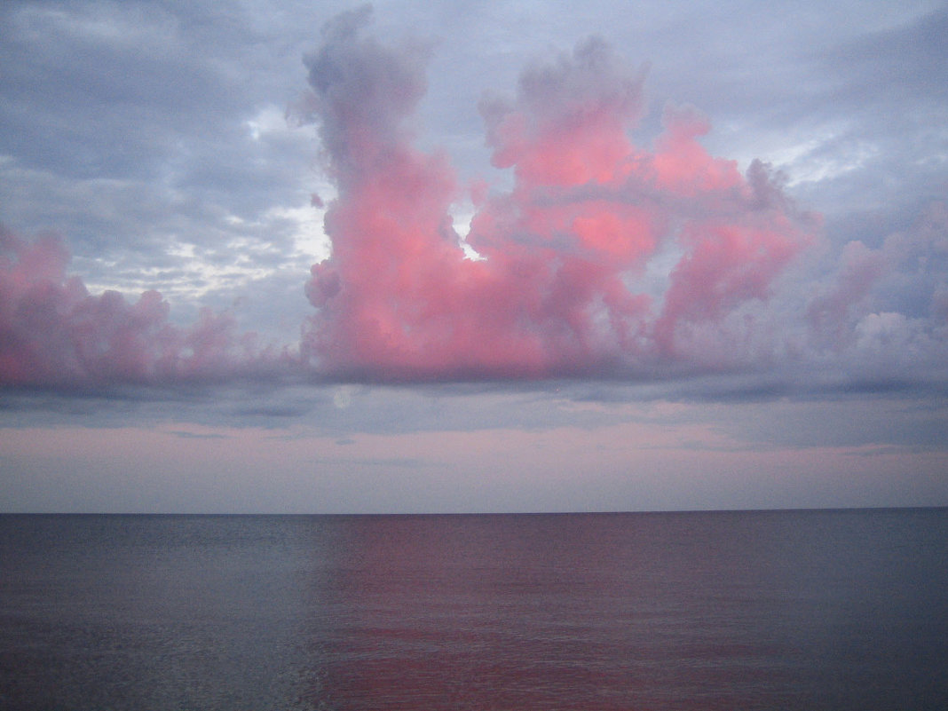 Розовый дракон над морем. - Алина Тазова