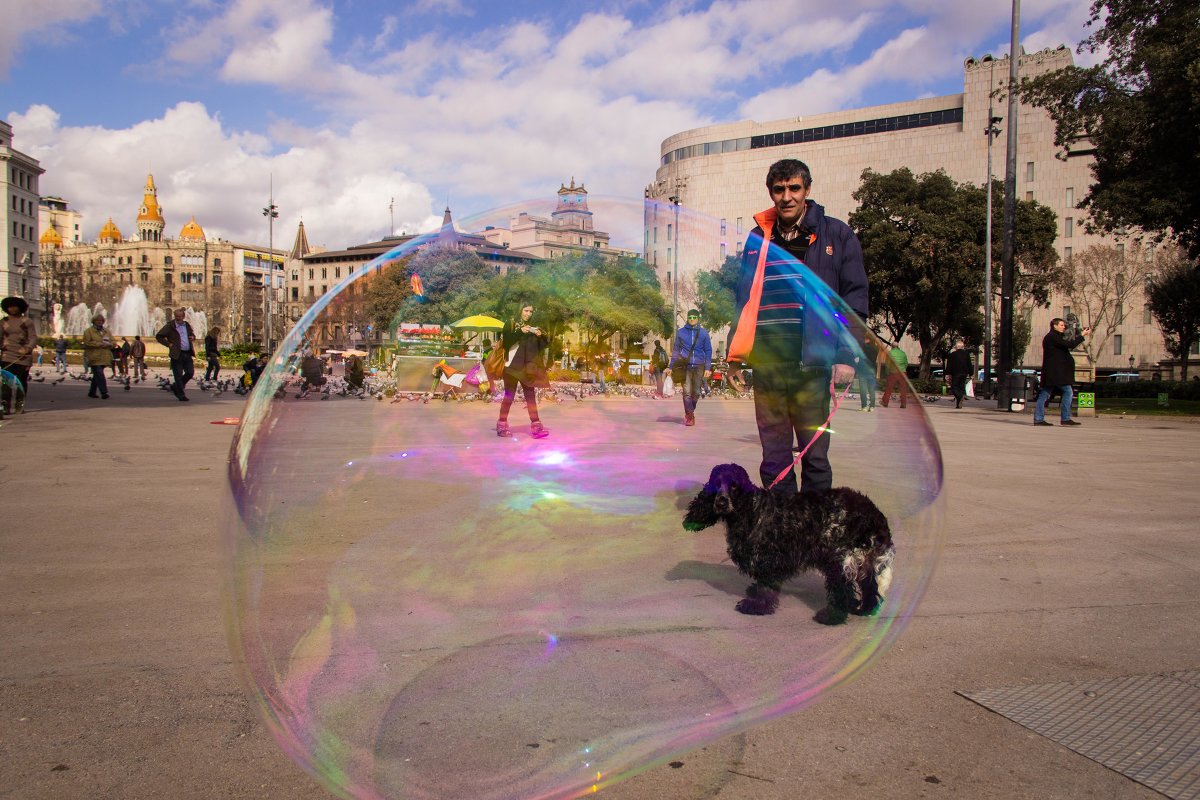 Собака в мыльном пузыре - Vadim M