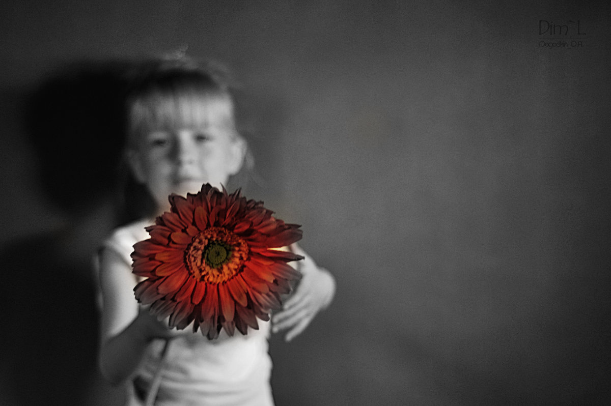 Девочка с цветком - Дмитрий Догадкин
