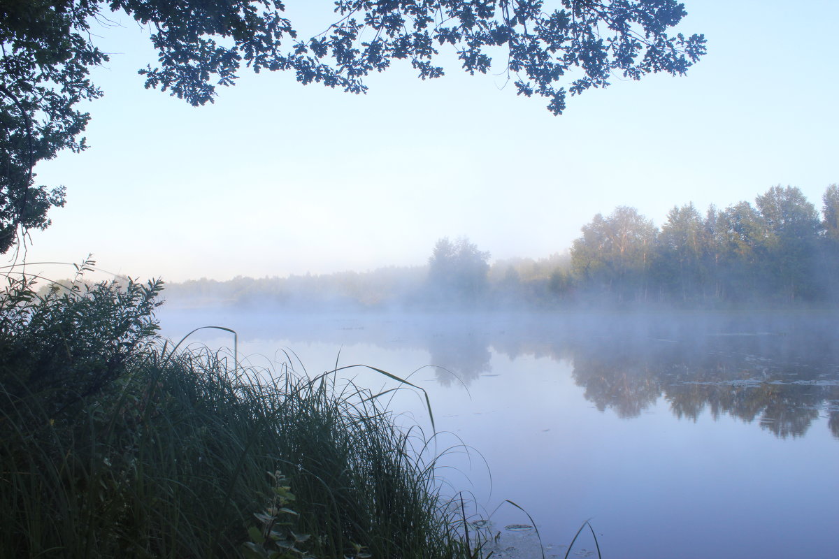 Утренний туман над озером - Валерий Бочкарев