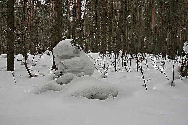 Снежные скульптуры людей. - Валерий. Талбутдинов.