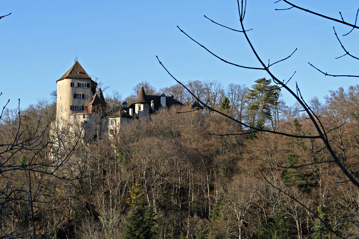 Замок Wildenstein - Hersberger 