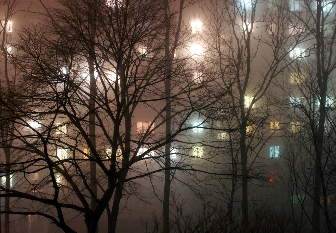 Туманный февральский вечер - Тая Лемур