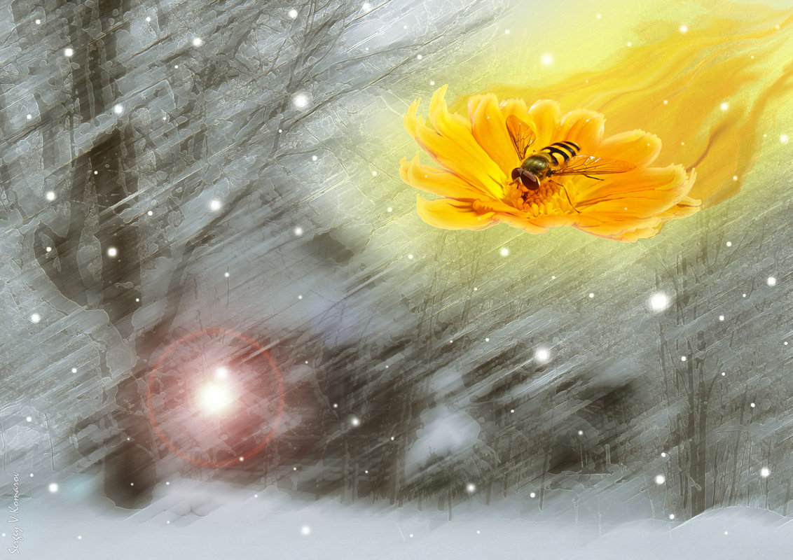 Сегодня провожаем зиму! Солнышко под мухой в сени к нам летит...))) - Сергей В. Комаров