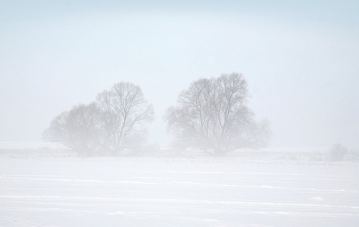Туман над речкой - Юрий Савинский