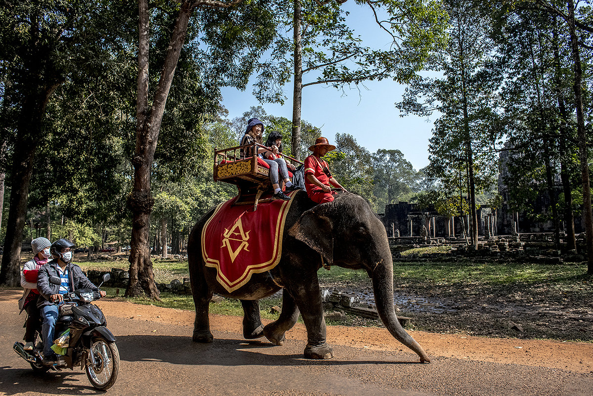 Слон и мотоцикл. - mikhail grunenkov