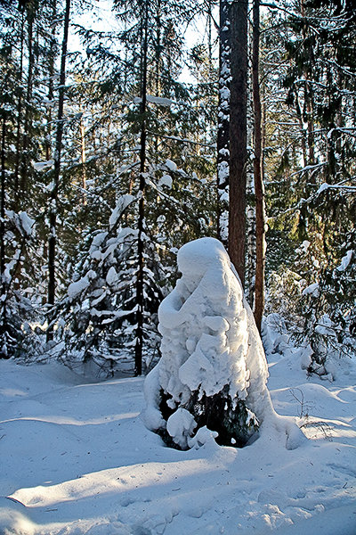 Снежные скульптуры людей в зимнем лесу. - Валерий. Талбутдинов.