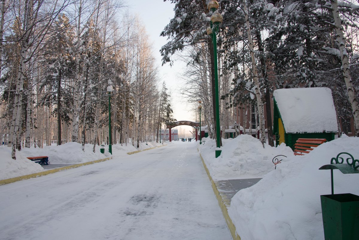 Парк ждет весны и своих посетителей - Светлана Кулешова