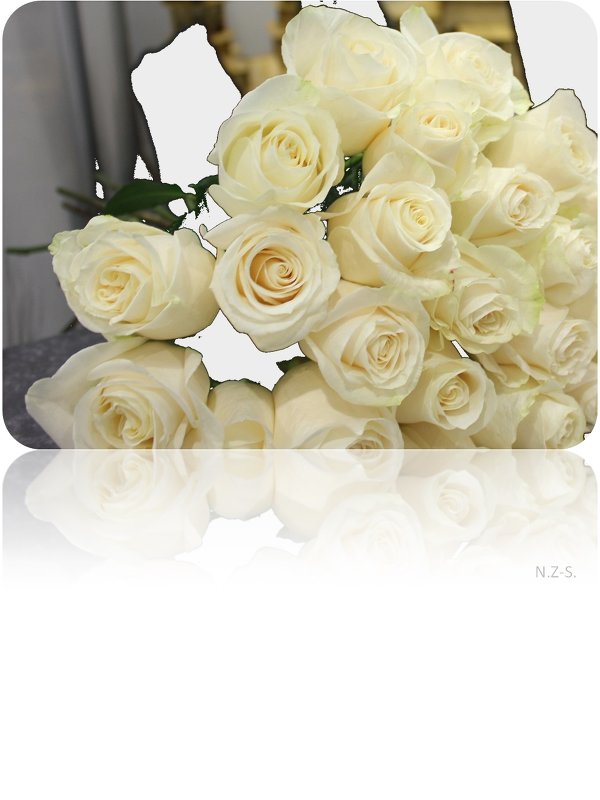 открытка с белыми розами - Наталья Золотых-Сибирская