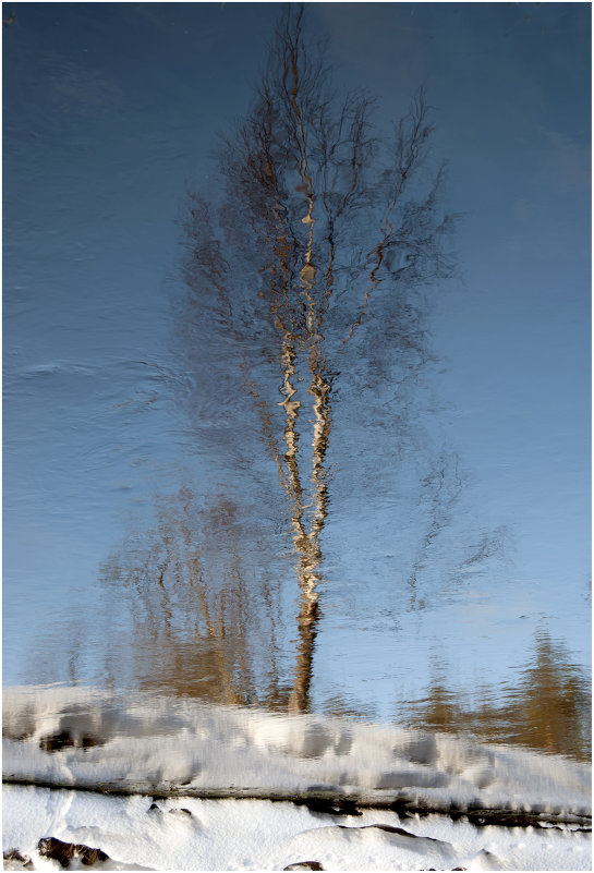 Отражение *** Reflection - Александр Борисов