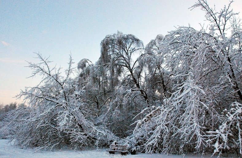 зима в Москве - Елена Познокос