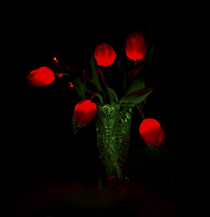 Светящиеся тюльпаны - Вера Бережная 
