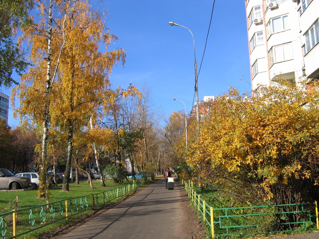 Пейзаж городской обыкновенный - Владимир  Зотов 