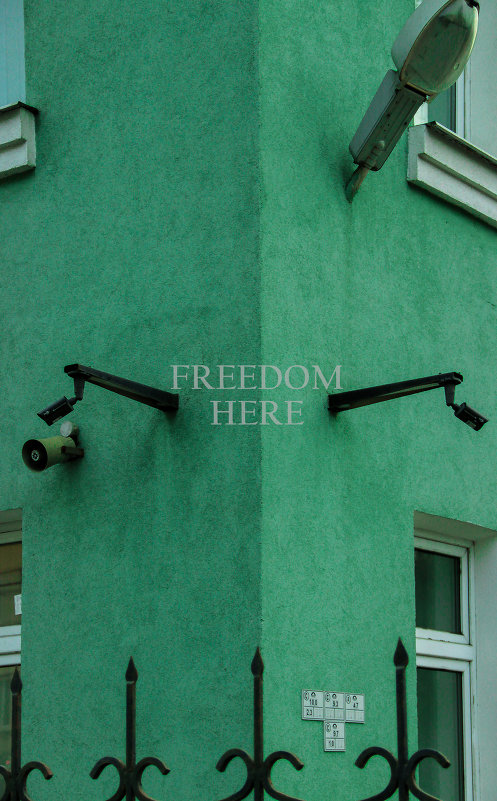 FREEDOM HERE - Annie Kuzz