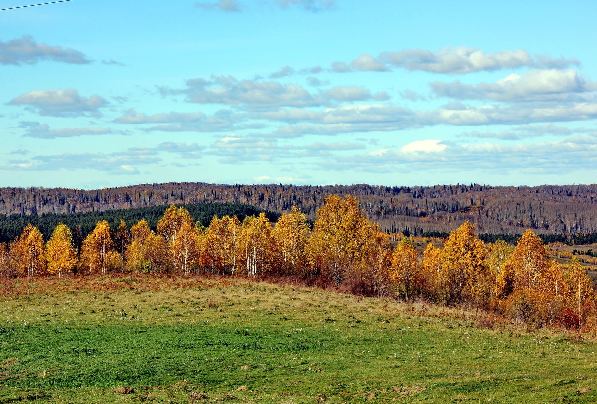 Осень - Сергей Бурнышев