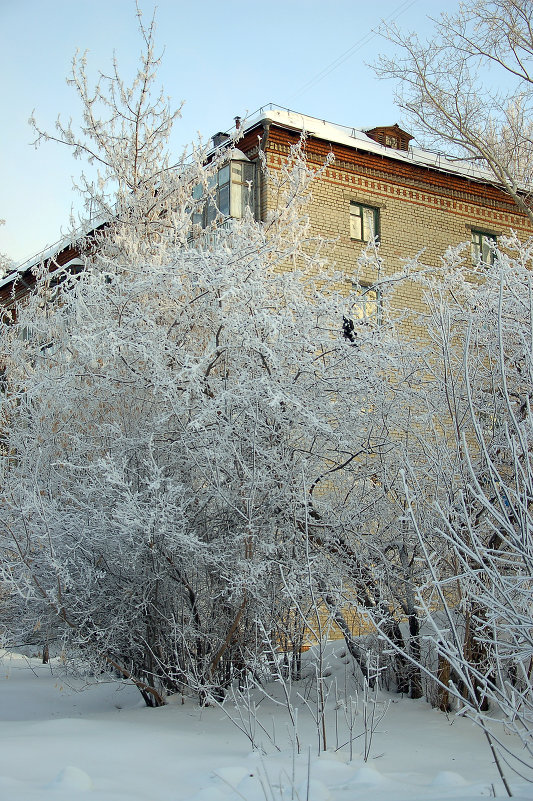 Зимний дом - Андрей Кузнецов