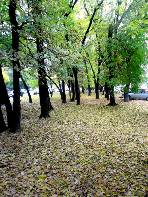 В городе осень,,, - Александр Лысенко