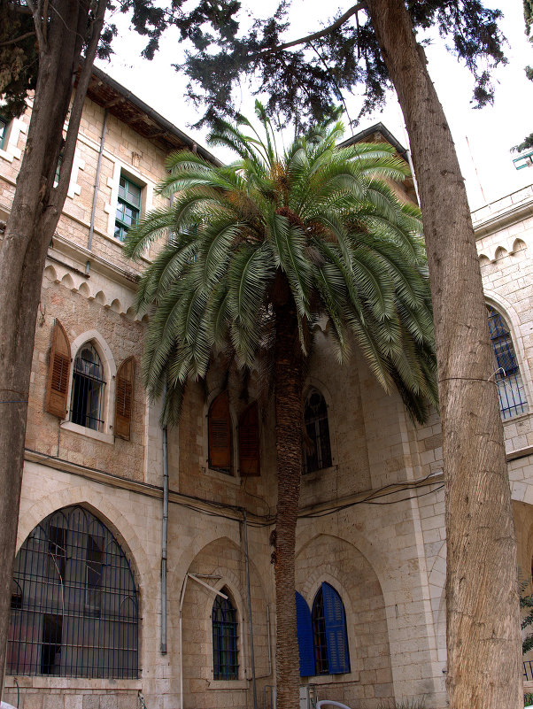 Здание итальянской синагоги.Иерусалим. - Алла Шапошникова