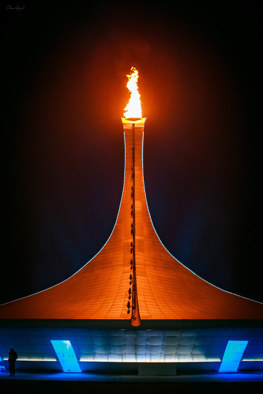 Олимпийский огонь - Chris Gayd