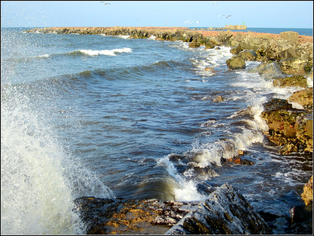 Breakwater - Janis Jansons